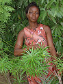 04_DSC03568