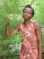 06_DSC03570