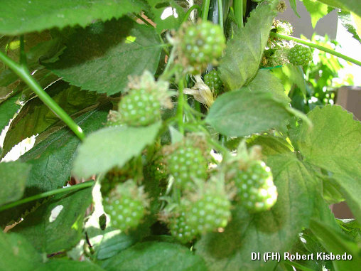DSC01528