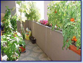 DSC01535
