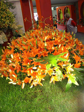 DSC07511