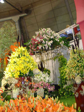 DSC07509