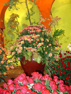 DSC07521