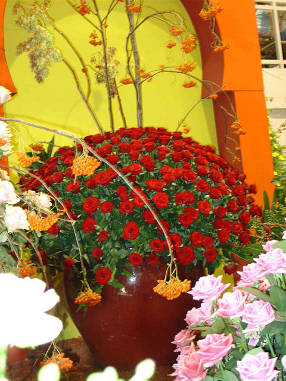 DSC07518