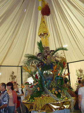 DSC07537