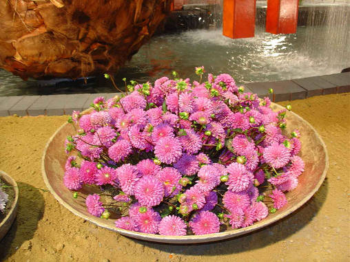 DSC07550