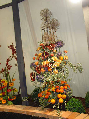 DSC07538
