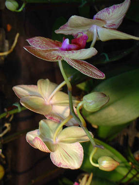 DSC07601