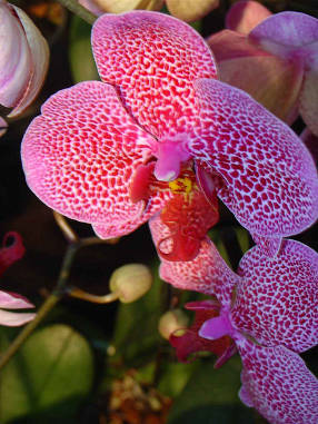DSC07600