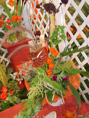 DSC07626