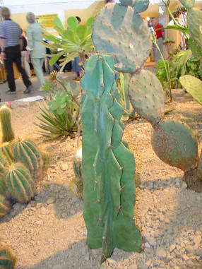 DSC07640